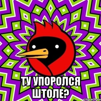  Ту упоролся штоле?, Мем Омская птица