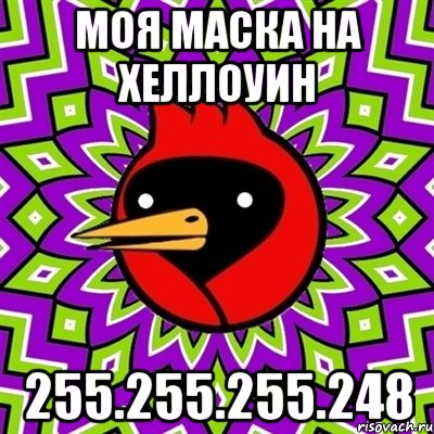 Моя маска на хеллоуин 255.255.255.248, Мем Омская птица