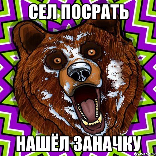 Сел посрать нашёл заначку, Мем Омский медведь