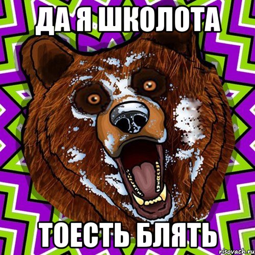 ДА Я ШКОЛОТА ТОЕСТЬ БЛЯТЬ, Мем Омский медведь