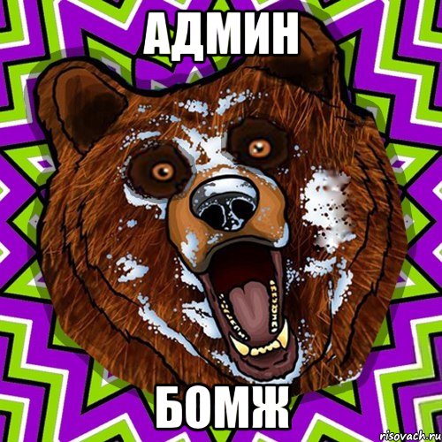Админ Бомж, Мем Омский медведь