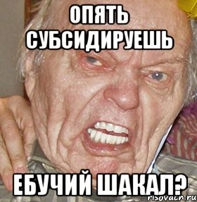 ОПЯТЬ СУБСИДИРУЕШЬ ЕБУЧИЙ ШАКАЛ?