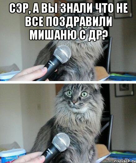 Сэр, а вы знали что не все поздравили Мишаню с др? , Комикс  кот с микрофоном