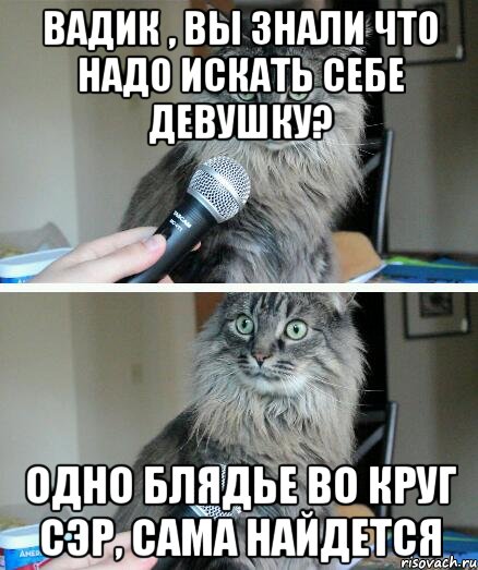 Вадик , вы знали что надо искать себе Девушку? Одно блядье во круг СЭР, сама найдется, Комикс  кот с микрофоном