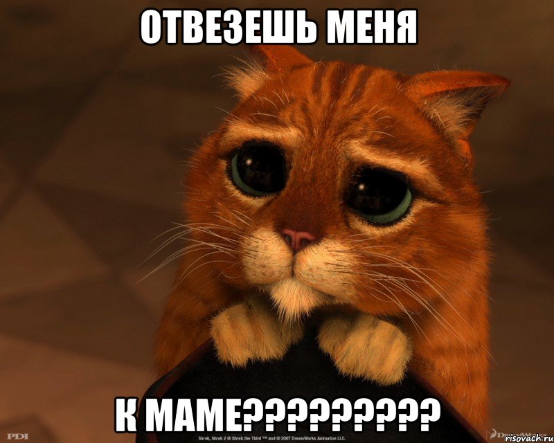 ОТВЕЗЕШЬ МЕНЯ К МАМЕ?????????, Мем Котик из Шрека