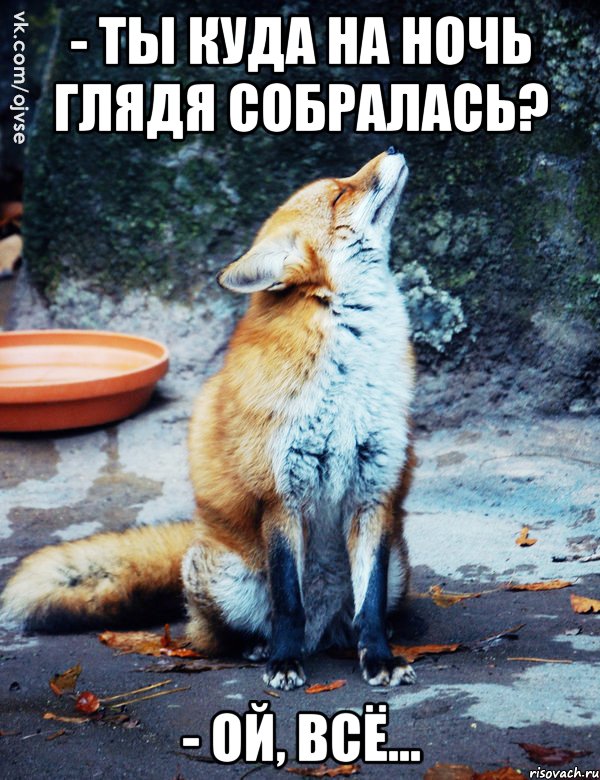 - Ты куда на ночь глядя собралась? - ой, всё...