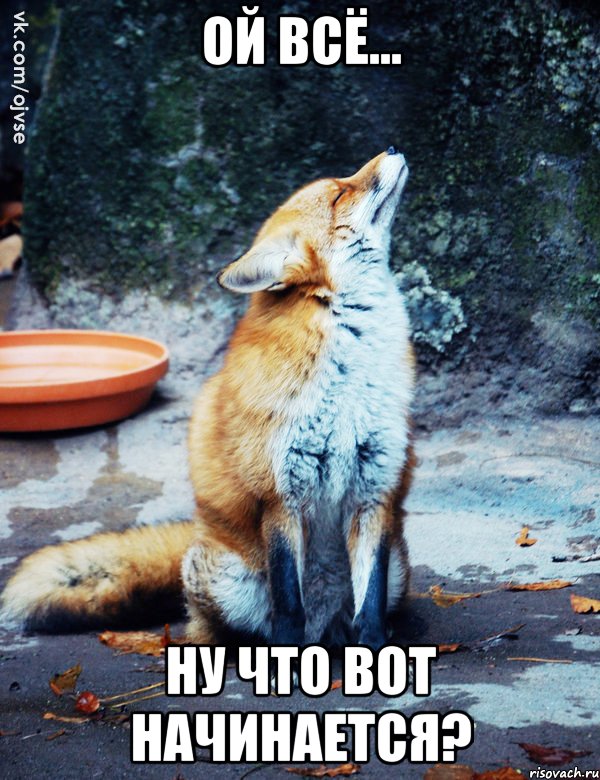 ой всё... ну что вот начинается?