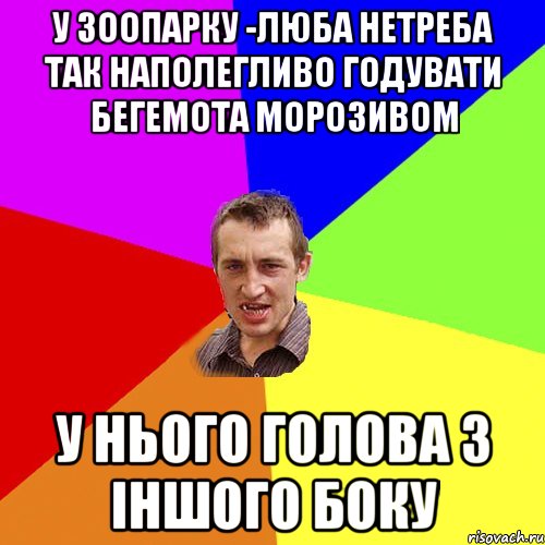 У зоопарку -Люба нетреба так наполегливо годувати бегемота морозивом у нього голова з іншого боку, Мем Чоткий паца