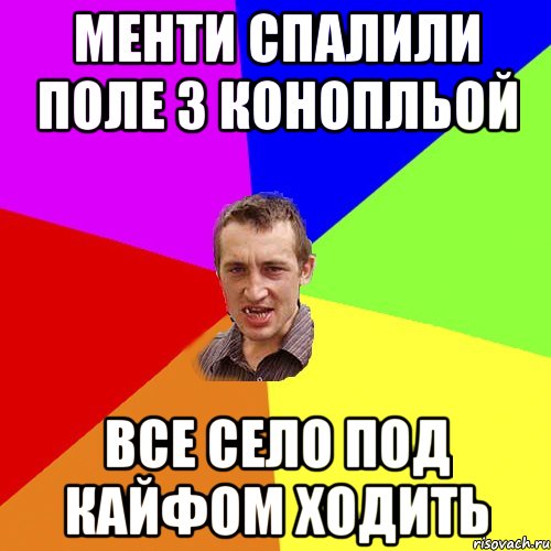 Менти спалили поле з конопльой Все село под кайфом ходить, Мем Чоткий паца