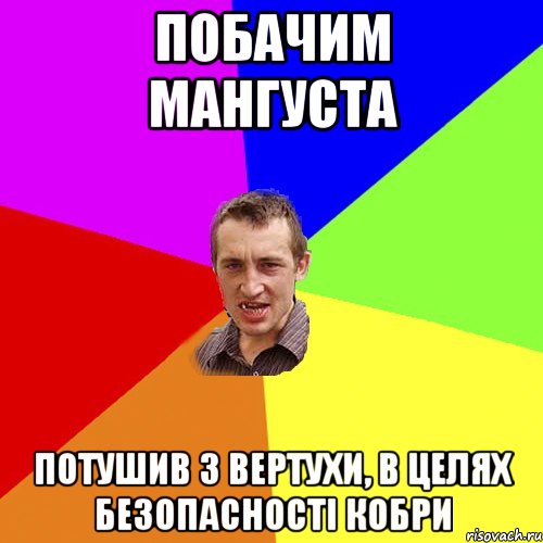 побачим мангуста потушив з вертухи, в целях безопасності кобри, Мем Чоткий паца