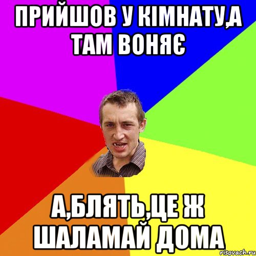 Прийшов у кімнату,а там воняє А,блять,це ж ШАЛАМАЙ ДОМА, Мем Чоткий паца