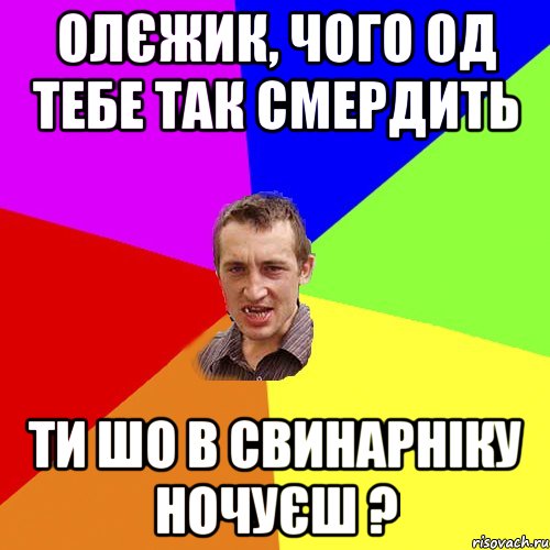 Олєжик, чого од тебе так смердить Ти шо в свинарніку ночуєш ?, Мем Чоткий паца