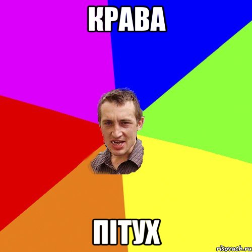 Крава Пітух, Мем Чоткий паца