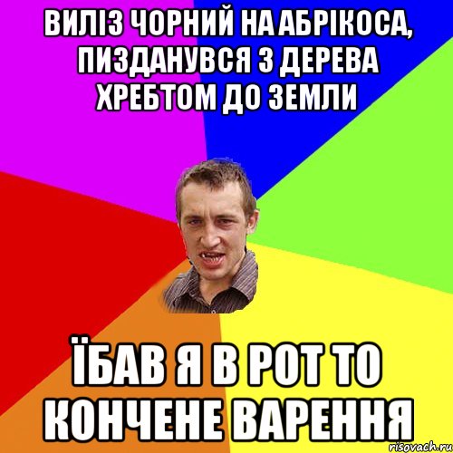 виліз Чорний на абрікоса, пизданувся з дерева хребтом до земли їбав я в рот то кончене варення, Мем Чоткий паца