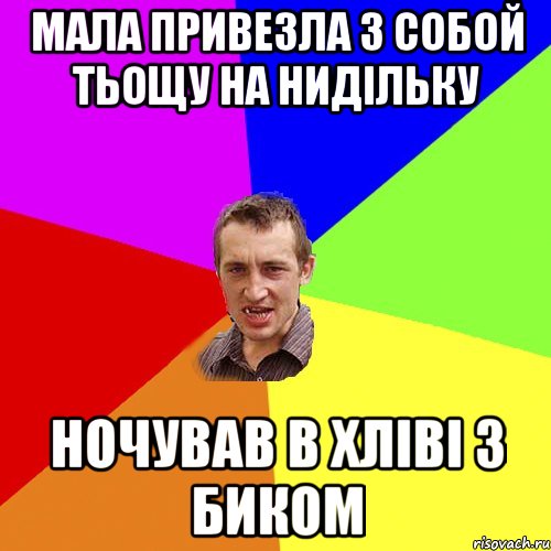 мала привезла з собой тьощу на нидільку ночував в хліві з биком, Мем Чоткий паца