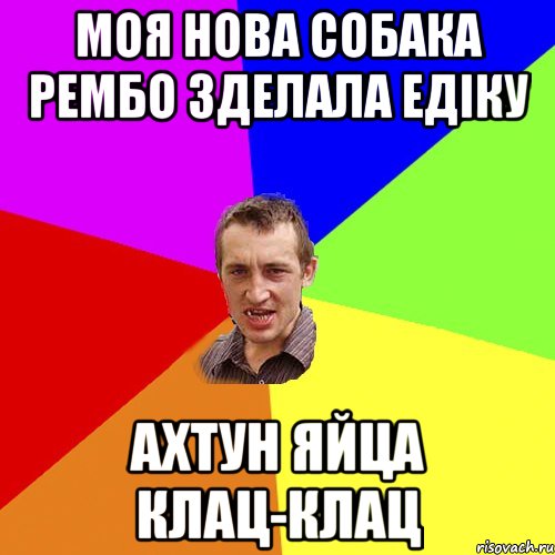 Моя нова собака РЕМБО зделала Едіку АХТУН ЯЙЦА КЛАЦ-КЛАЦ, Мем Чоткий паца