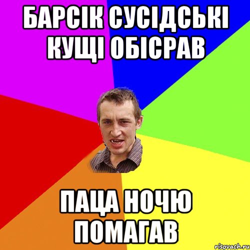 барсік сусідські кущі обісрав паца ночю помагав, Мем Чоткий паца