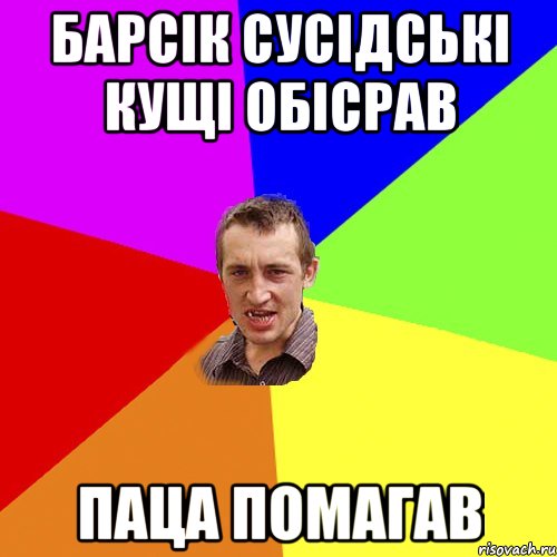 барсік сусідські кущі обісрав паца помагав, Мем Чоткий паца