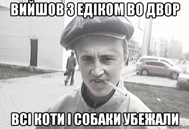 Вийшов з едіком во двор Всі коти і собаки убежали, Мем Пацанська философия