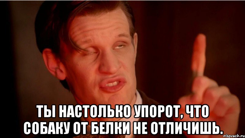  ты настолько упорот, что собаку от белки не отличишь.