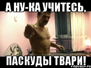 а ну-ка учитесь, паскуды твари!, Мем Паскуда тварь