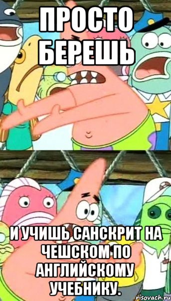 Просто берешь и учишь санскрит на чешском по английскому учебнику., Мем Патрик (берешь и делаешь)