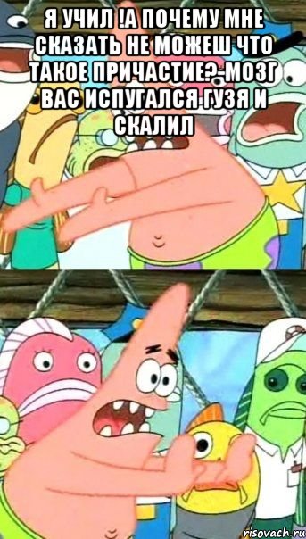 Я учил !а почему мне сказать не можеш что такое причастие?-мозг вас испугался Гузя и скалил , Мем Патрик (берешь и делаешь)