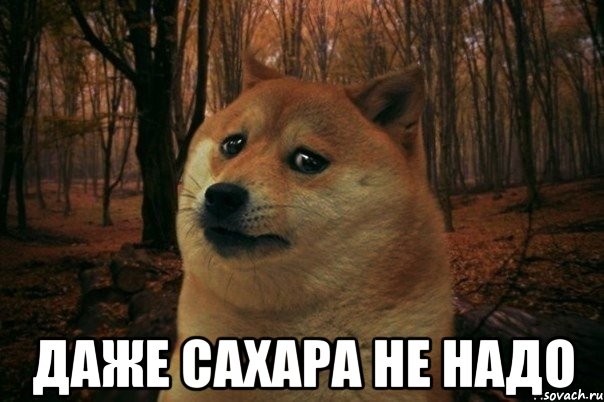  даже сахара не надо, Мем SAD DOGE