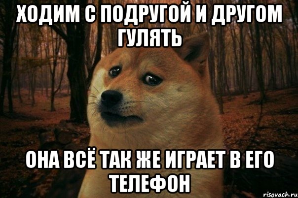 ходим с подругой и другом гулять она всё так же играет в его телефон, Мем SAD DOGE