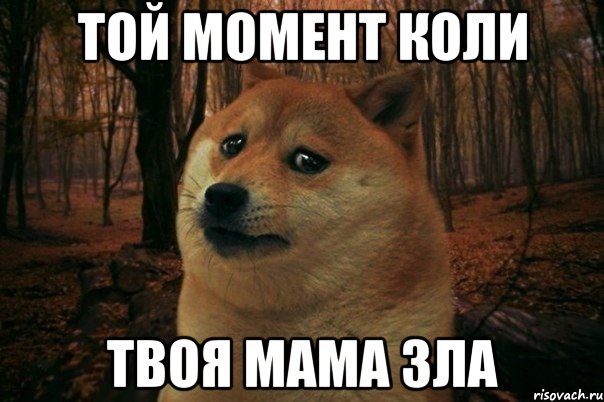 той момент коли твоя мама зла, Мем SAD DOGE