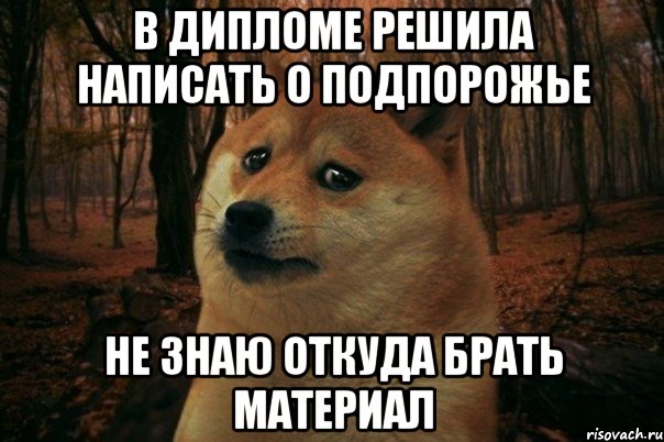 В дипломе решила написать о Подпорожье Не знаю откуда брать материал, Мем SAD DOGE