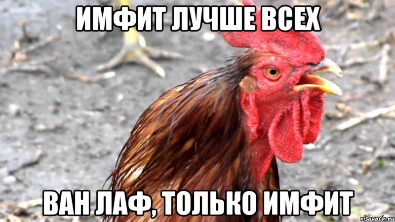 ИМФИТ лучше всех ван лаф, только ИМФИТ