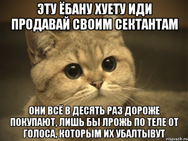 эту ёбану хуету иди продавай своим сектантам они всё в десять раз дороже покупают, лишь бы лрожь по теле от голоса, которым их убалтывут, Мем Пидрила ебаная котик