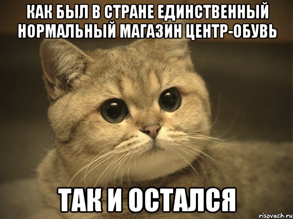 как был в стране единственный нормальный магазин центр-обувь так и остался, Мем Пидрила ебаная котик