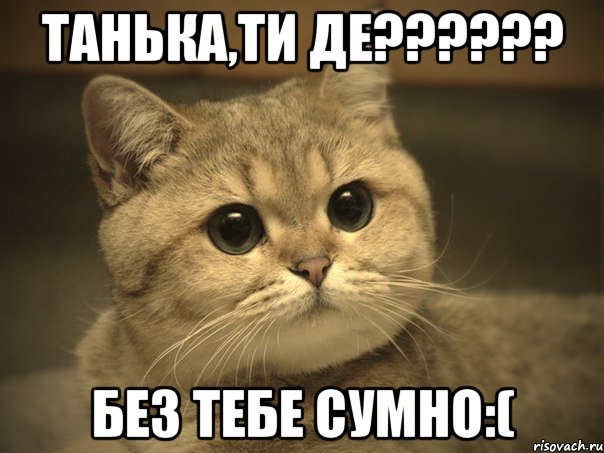 Танька,ти де?????? Без тебе сумно:(, Мем Пидрила ебаная котик