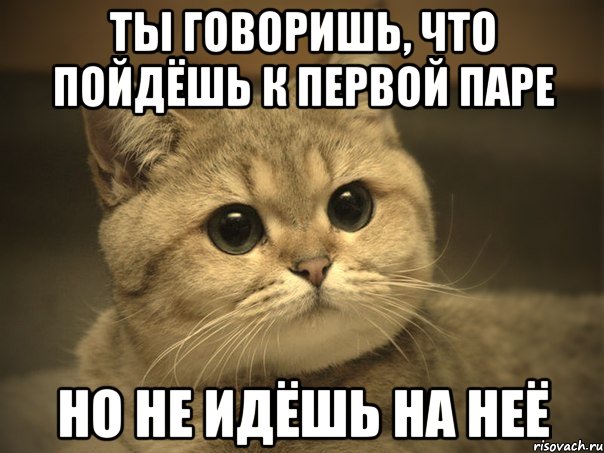 Ты говоришь, что пойдёшь к первой паре Но не идёшь на неё, Мем Пидрила ебаная котик