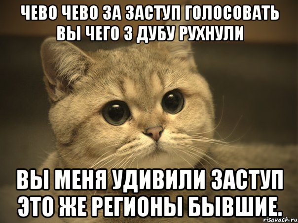 чево чево за заступ голосовать вы чего з дубу рухнули вы меня удивили заступ это же регионы бывшие., Мем Пидрила ебаная котик