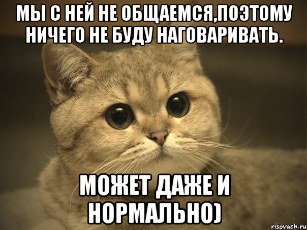 Мы с ней не общаемся,поэтому ничего не буду наговаривать. Может даже и нормально), Мем Пидрила ебаная котик