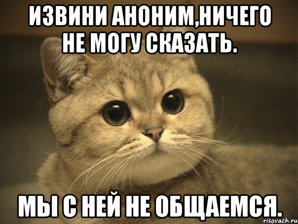 Извини аноним,ничего не могу сказать. Мы с ней не общаемся., Мем Пидрила ебаная котик