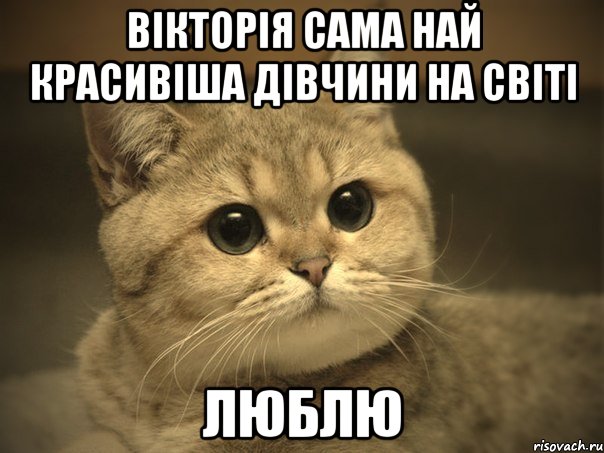 Вікторія сама най красивіша дівчини на світі люблю, Мем Пидрила ебаная котик