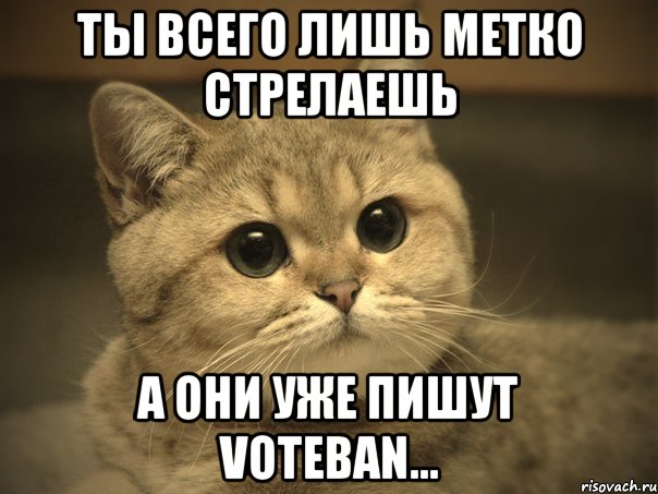 Ты всего лишь метко стрелаешь а они уже пишут voteban..., Мем Пидрила ебаная котик