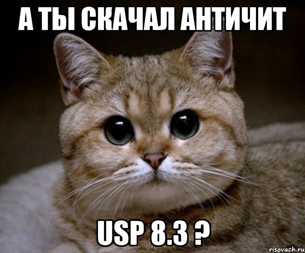 А ты скачал античит USP 8.3 ?, Мем Пидрила Ебаная