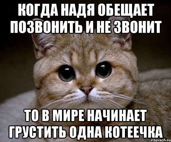 Когда Надя обещает позвонить и не звонит То в мире начинает грустить одна котеечка, Мем Пидрила Ебаная