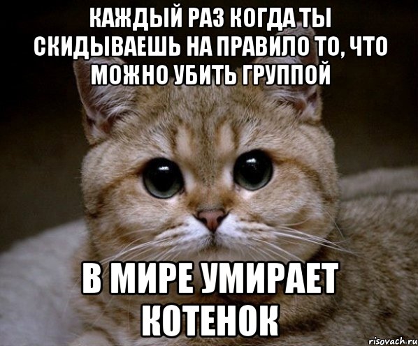 КАЖДЫЙ РАЗ КОГДА ТЫ СКИДЫВАЕШЬ НА ПРАВИЛО ТО, ЧТО МОЖНО УБИТЬ ГРУППОЙ В МИРЕ УМИРАЕТ КОТЕНОК, Мем Пидрила Ебаная