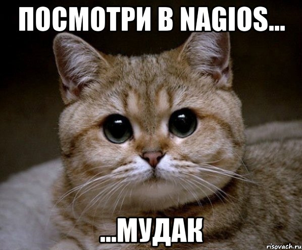 Посмотри в Nagios... ...мудак, Мем Пидрила Ебаная