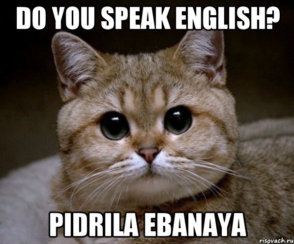 do you speak English? pidrila ebanaya, Мем Пидрила Ебаная