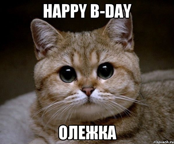 HAPPY B-DAY Олежка, Мем Пидрила Ебаная