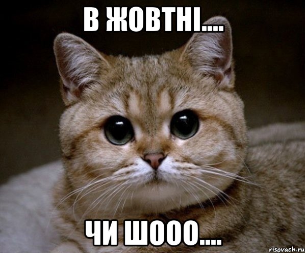 В жовтні.... чи шооо...., Мем Пидрила Ебаная