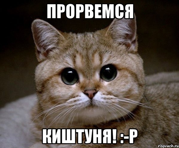 Прорвемся Киштуня! :-Р, Мем Пидрила Ебаная