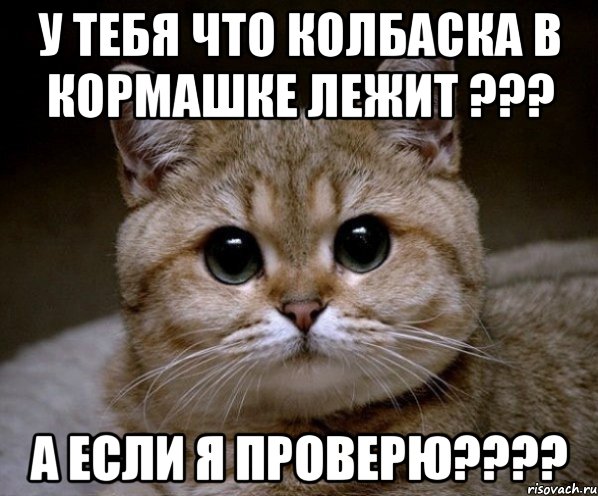 У тебя что колбаска в кормашке лежит ??? А если я проверю????, Мем Пидрила Ебаная